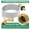12FT Propane Hose with Propane Splitter 2 Way POL Tank