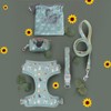 YöL 120cm Lead & Pet Collar With Green Dog Print