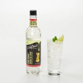 DaVinci Gourmet Classic Cane Sugar Syrup 25.40 Oz Sweetener for Beverages