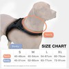 No-Pull Dog Harness, Adjustable Outdoor Pet Vest, Reflective Oxford Material,