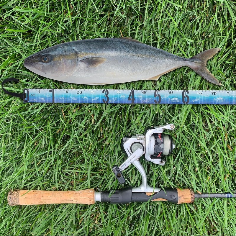 PVC Fish Ruler Foldable Fish Measuring Tape Fishing Measuring Accessory