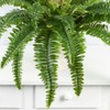 Factory Direct Craft UV Protected Artificial Boston Fern Plant Realistic