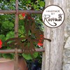 Rostikal Decorative Butterfly 14 x 12 Hanging Decoration Window Garden