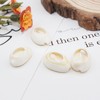 500pcs Gray 20mm Natural Spiral Shell Beads Smooth Cut Oval