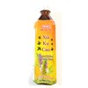 5 Pack Gudao Plum Green Tea 20.3 Fl Oz Each