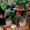Automatic Drip Irrigation Kit Smart APP WiFi Programmable Timing Irrigaition