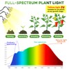 Full Spectrum Grow Lights for Indoor Plants 15-62 Inches Height