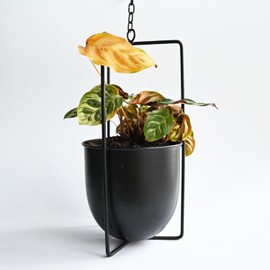 Smaxcn Hanging Hanging Basket, Hanging Decoration Pot, Metal Bolo Hanging Basket, Indoor and Outdoor Use (Black)