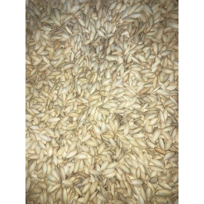 Lady Nail PUMPKIN SEEDS IN SHELL ROASTED UNSALTED Fresh Guarantee