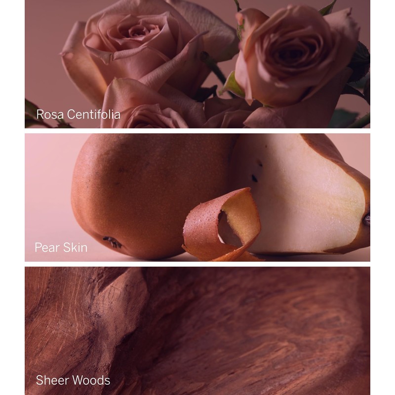 Victoria's Secret Bare Rose Eau de Parfum, Notes of Pear