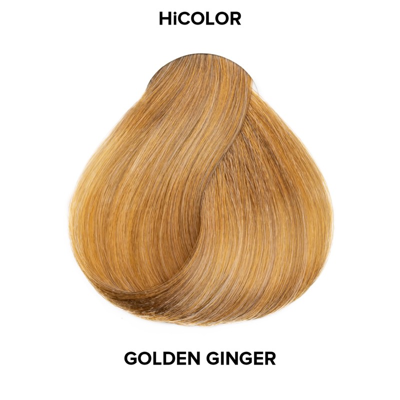 L'OREAL TECHNIQUE HiColor Browns & Blondes Permanent Hair Color -