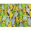 fortheBIRDS! LARGE Bird CAGE "Assorted Budgies" Skirt ONLY
