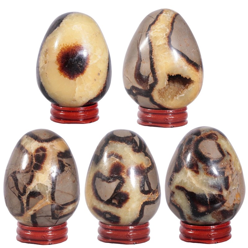 KYEYGWO Natural Septarium Crystal Egg Shaped Stone with Wooden Stand,