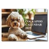 Cockapoo Calendar 2025 12 Month to View A4 2025 Calendar