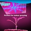 HQRP Quad-Band 14W 225 LED Blue/Red/Orange/White Spectrum Hydroponic Plant Grow