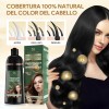 Champ Qiye3 3 En 1 Negro 500ml Kit Profesional Cubre