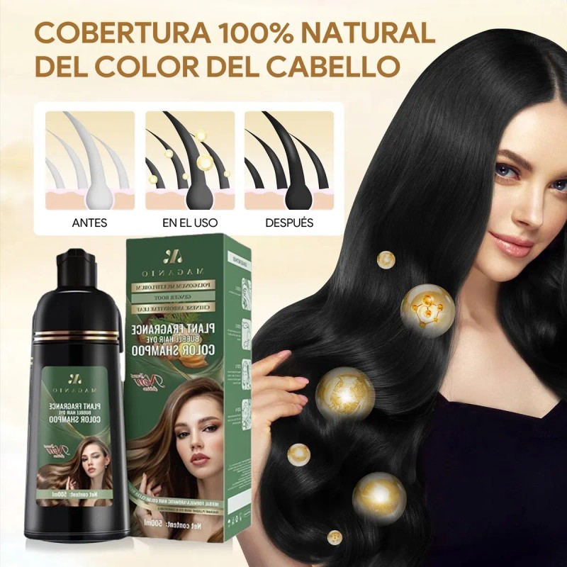 Champ Qiye3 3 En 1 Negro 500ml Kit Profesional Cubre