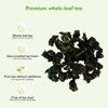 GTGLOTRA Oolong Tea Bags, 24 Whole Leaf Tea Bag, Alternative