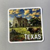 TEXAS Sticker Stickers Water Bottle Car Computer Motorhome 3x3 Camper