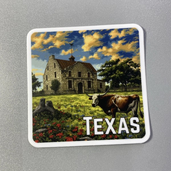 TEXAS Sticker Stickers Water Bottle Car Computer Motorhome 3x3 Camper