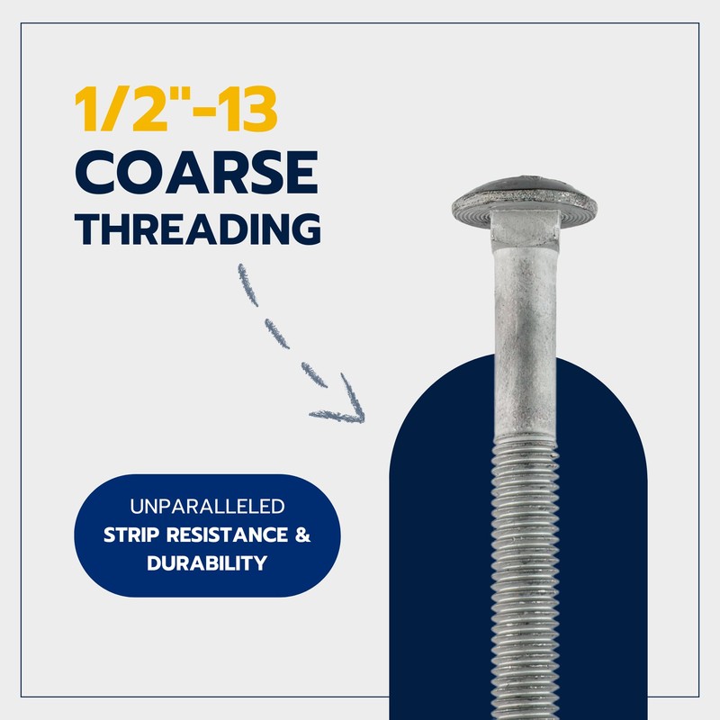 1/2" x 12" (25 Pack) Galvanized Carriage Bolt Kit Grade