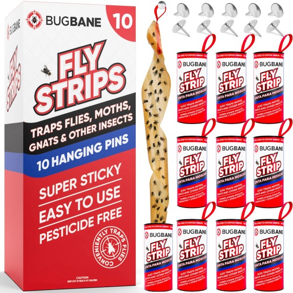 Bugbane Indoor Sticky Fly Strips 10pk Non-Toxic Trap for Gnats
