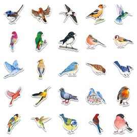 50 Packs Watercolor Bird Stickers Water Bottles Laptop Phone Computer Guitar Skateboard Hydroflasks Bird Vinyl Sticker Waterproof Aesthetic Trendy Decals for Kids Teens Girls Adults