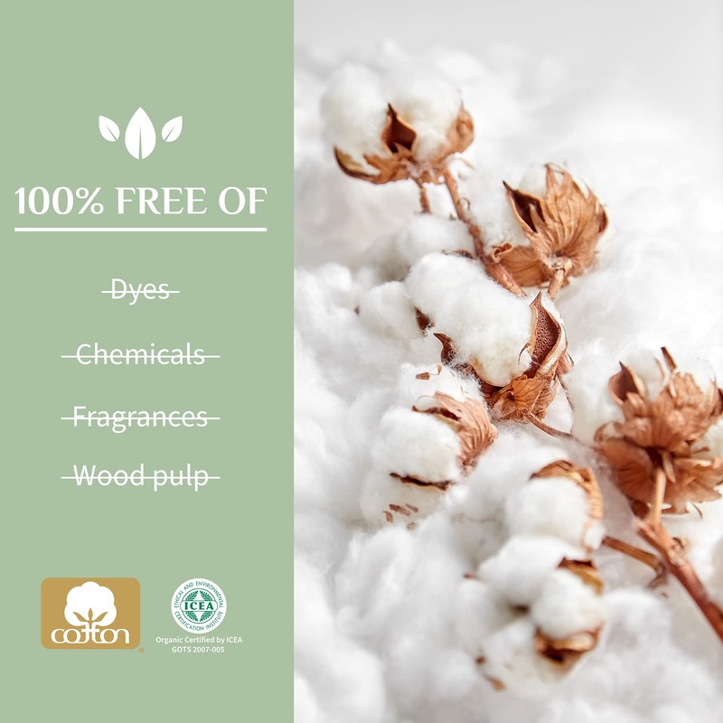 Organyc 100% Certified Organic Cotton Everyday Panty Liner - Flat,