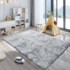 KCHOWUA 5x8 Rug for Living Room Fluffy Rug Tie-Dyed Light