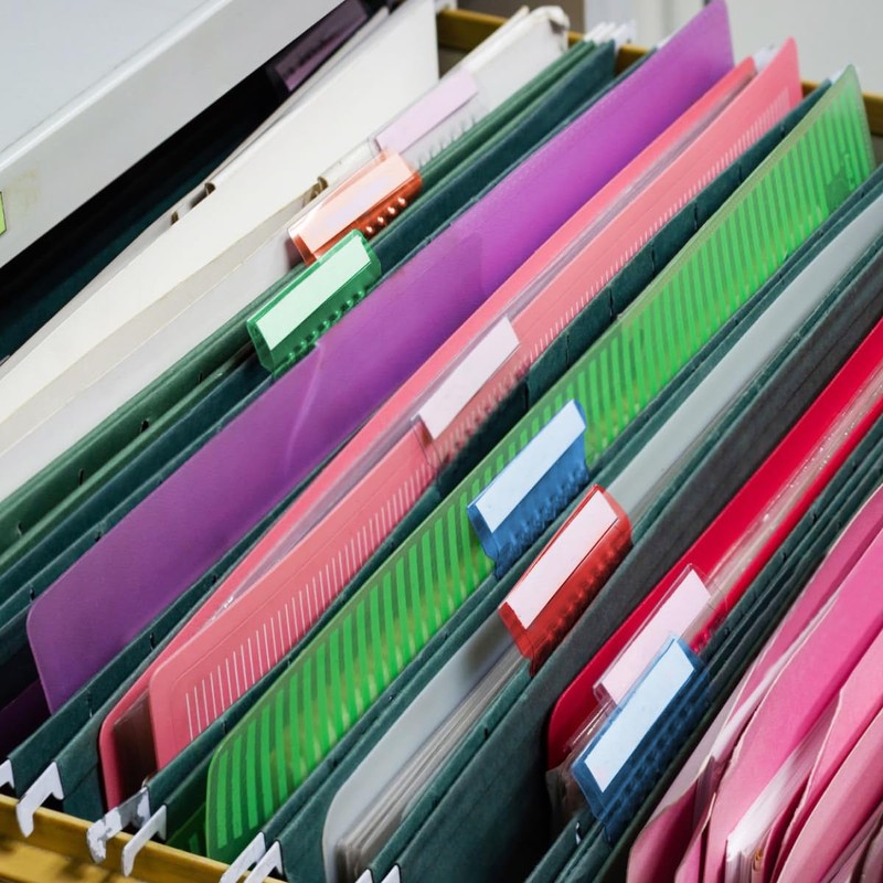 WELANE File Folder Tabs & Inserts, 50 PCS Colorful Plastic