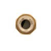 Watts LF7RU2-2 Lead-Free Brass MPT Dual Check Valve, 3/4-Inch, 1-Piece