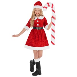 Morph - Santa Costume For Girls - Girls Santa Costume - Girls Mrs Claus Dress - Mrs Claus Kids Costume - Kids Mrs Claus Dress L