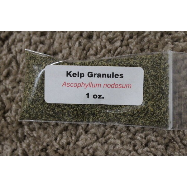 Kelp granules 1 oz. Kelp Granules (Ascophyllum nodosum) 