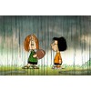 Peanuts Edition - Volume 04-06 [3 DVDs]