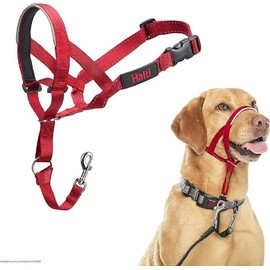 HALTI Headcollar - To Stop Your Dog Pulling on the Leash. Adjustable, Reflective and Lightweight, with Padded Nose Band. Dog Training Anti-Pull Collar for Medium Dogs (Size 3, Red)