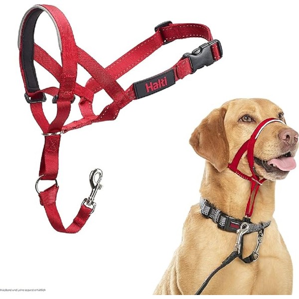 HALTI Headcollar - To Stop Your Dog Pulling on the