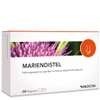 Medicom - Milk Thistle Capsules 170 mg, High-Quality Extract with