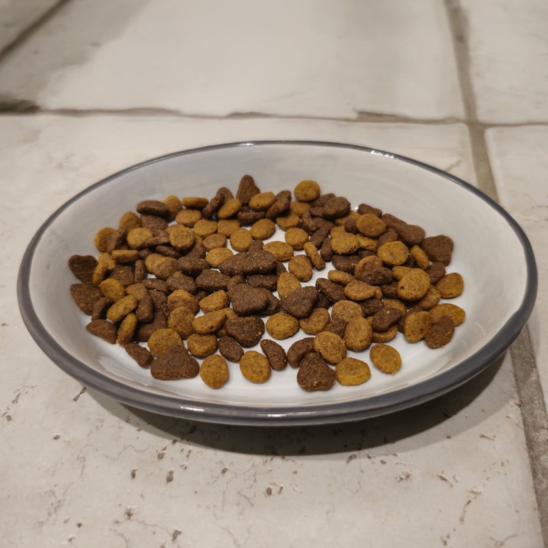 SPOT Two Tone Gray Oval Cat Food Dish - Ceramic