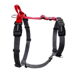 LufeLux Non-Restrictive Freedom No Pull Dog Harness, Keep Balance, Control Handle, Neck-Buckle, Six Points Adjuster for Comfort Fit, 2 Leash Attachments for Back and Front Clip (Red/Black, XS)