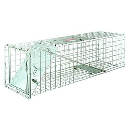 Little Giant® Single Door Live Trap | Racoon Trap | Live Animal Trap | Catches Without Injury | Galvanized Steel Mesh | 24 x 7.75 x 7.5 in