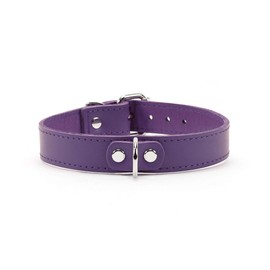 Avery I Collar Handmade Sturdy Latigo Leather Elegant Design (Purple, Small)