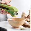 Joseph Joseph Duo Easy-Clean Garlic Press, Green