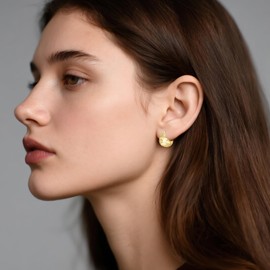 Lumwzt 14K Gold Hoop Earrings for Women Design Statement Hypoallergenic Earrings Huggie Hoop Earrings Chunky Jewelry Gifts for Women Mom Her