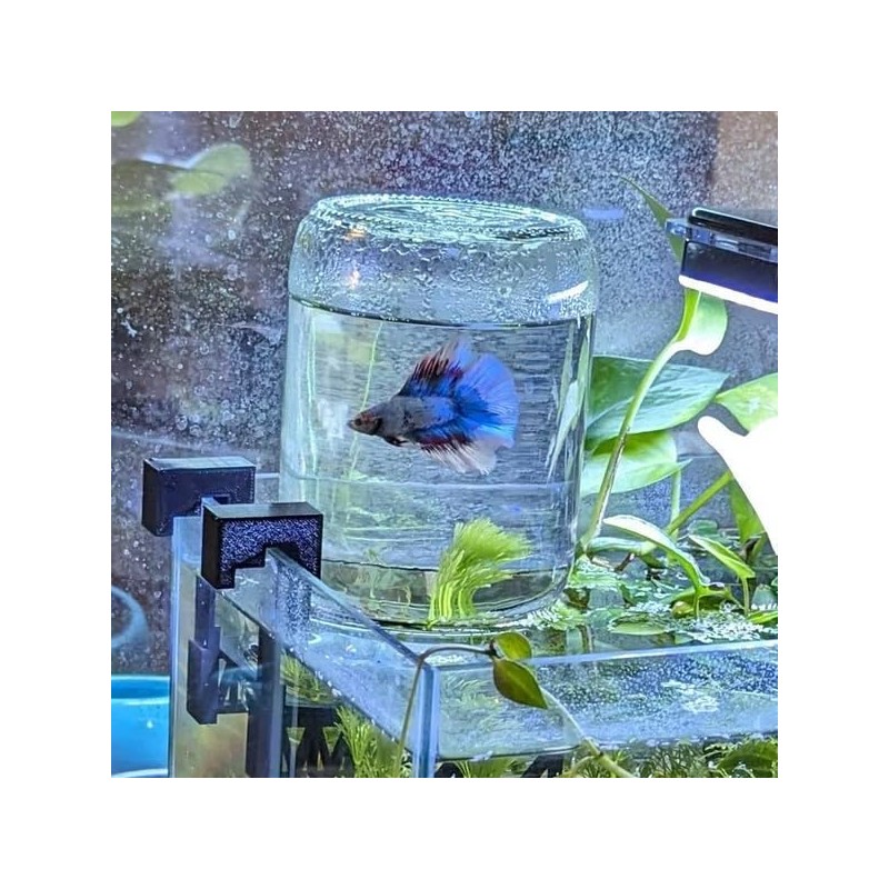 Inverted Betta Tank Holder Kit, 360-Degree Panoramic View for Betta