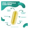 Probióticos Prominent Flora Sin Sabor 30 Cápsulas Cúrcuma Biotina