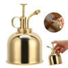 Professional Stainless Steel Watering Can with Top Pump for Succulent