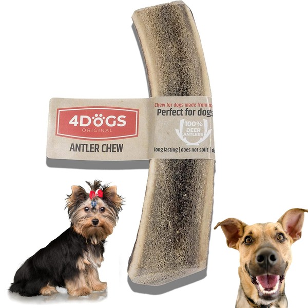 4DOGS ORIGINAL Long Lasting Natural Antler Dog Chew | Dog Chew | Dog Wood - 1 Piece | Dog Chew Toys | 10 cm Long | Ideal for Small Dogs (2kg-10kg)