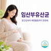 임산부 유산균 프로 프리바이오틱스 장건강 Probiotics with Prebiotics for Pregnant Women - Gut Health