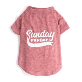 fabdog Dog Shirt - Funny T-Shirt for Dog - Quality Pet Apparel & Accessories | Cute Dog Clothes The Whole Family Will Love - Shirts for All Breeds |Sunday Funday 20"
