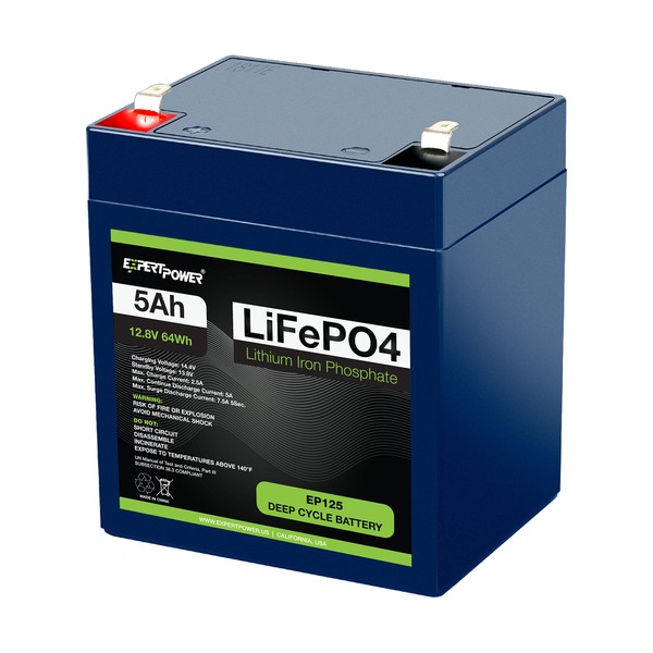 ExpertPower LiFePO4 - Pilas recargables de ciclo profundo, de litio